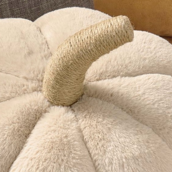 Pottery Barn Pumpkin Pillow